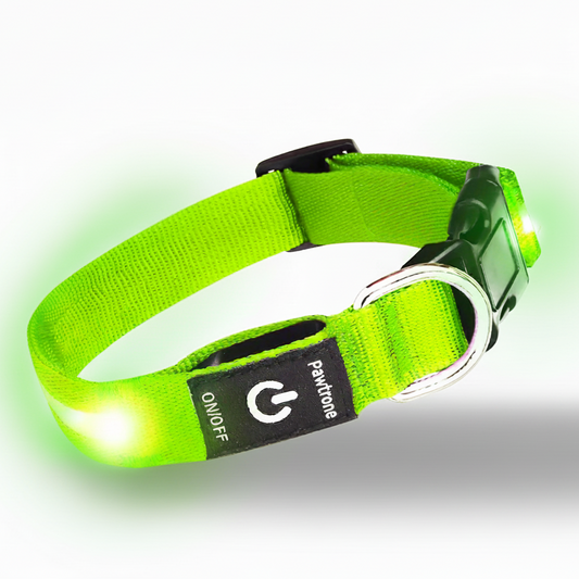LED Safety Dog Collar